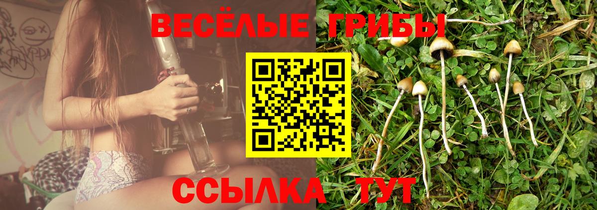 Псилоцибиновые грибы Psilocybine cubensis Арзамас