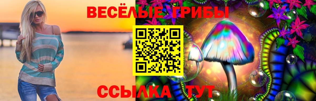 Псилоцибиновые грибы прущие грибы  Вход с VPN  Арзамас 